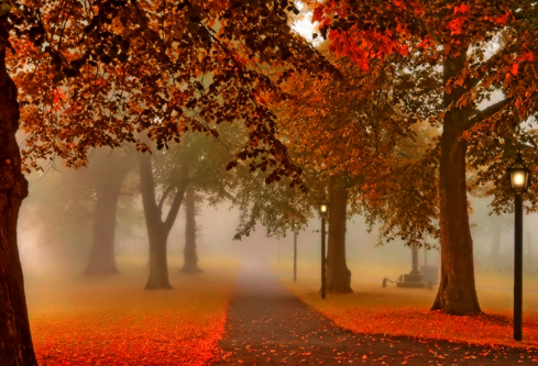 1691684042596291.png image.png
