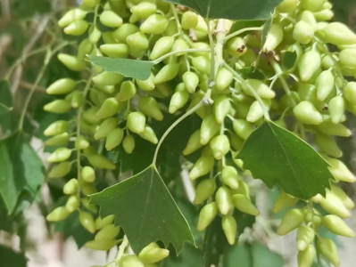 ​闺蜜结婚祝福语窝心的话-51句