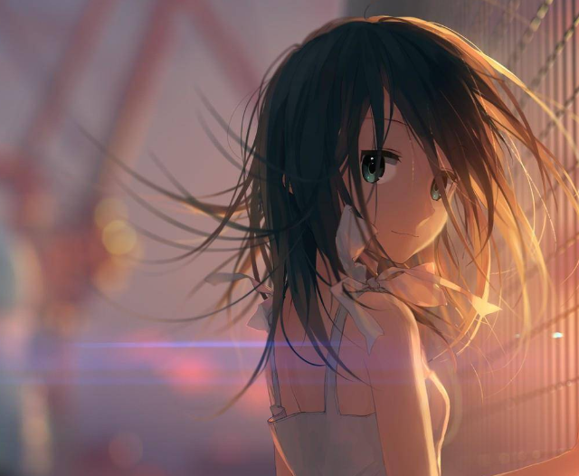 1691685865207499.png image.png