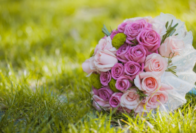 ​本命虎年祝福语-50句