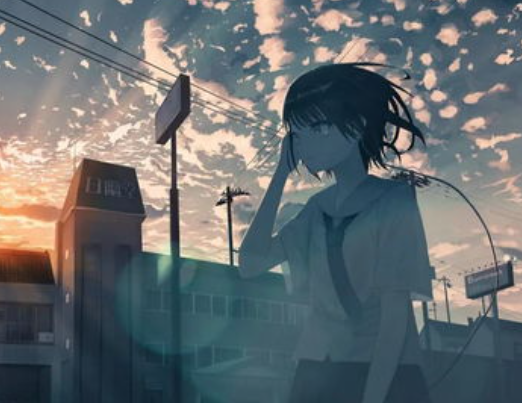 1691686099894501.png image.png