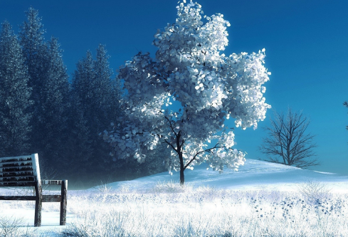1691687157125794.png image.png