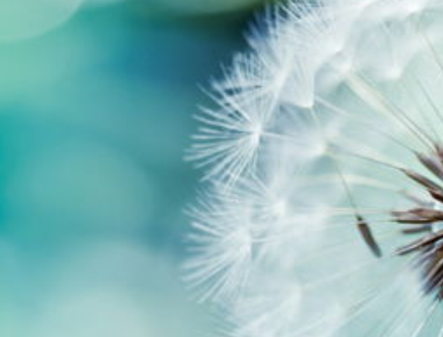 1691687174130803.png image.png