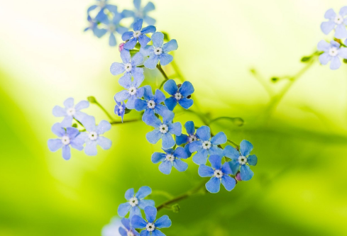 1691687223282202.png image.png