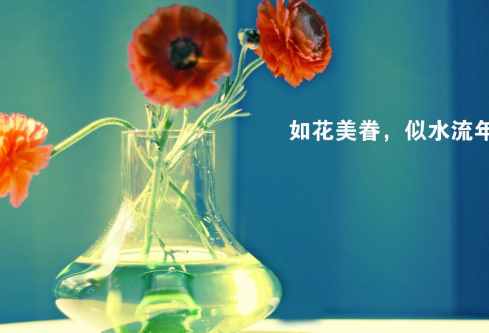 1691730740930906.png image.png