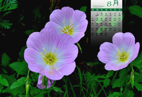 1691732330172944.png image.png