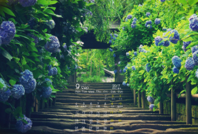 ​高三毕业祝福语大全-53句