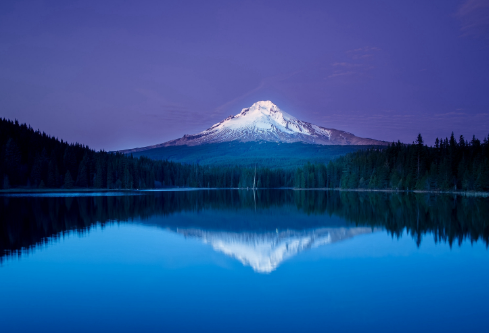 1691740227692510.png image.png