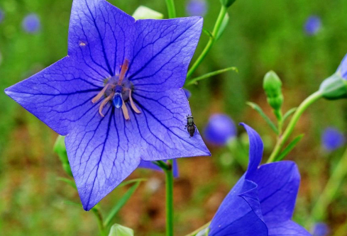 1691740294425799.png image.png