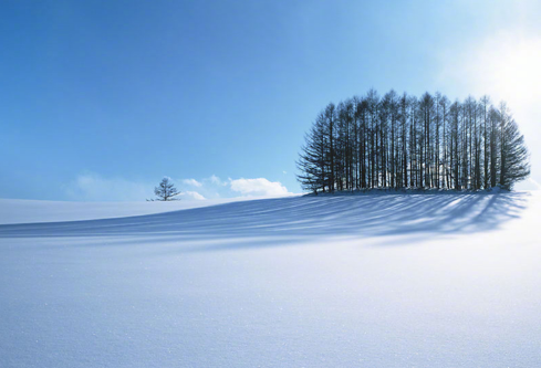 1691741223115140.png image.png