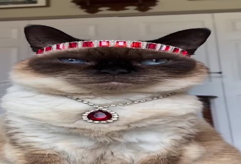 1692470441122046.png image.png