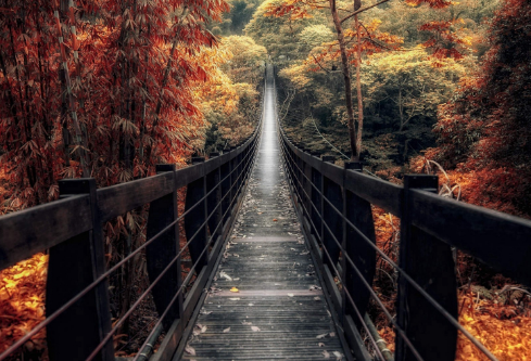 1692729622512766.png image.png