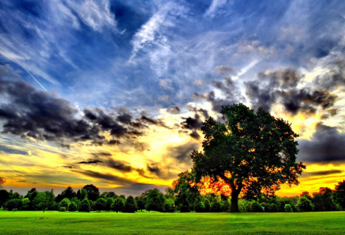 1692732602128888.png image.png