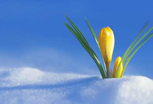 1692746550823068.png image.png