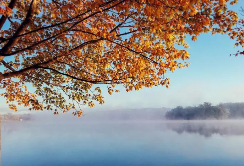 1692754200642507.png image.png
