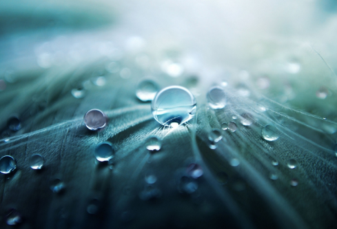 1692755529409232.png image.png