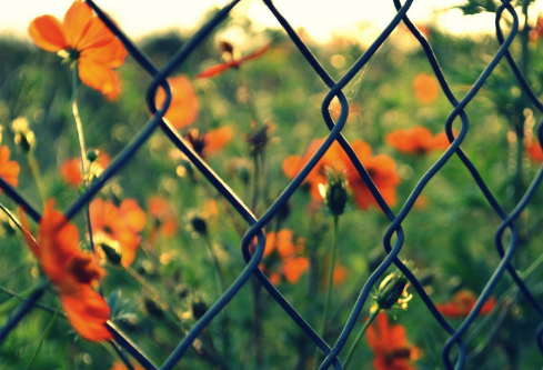 1692757036983190.png image.png