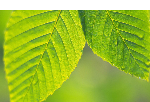 1714057228555798.png image.png