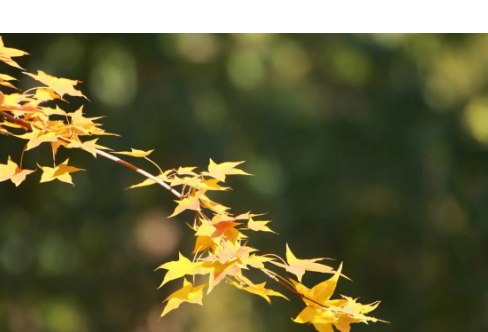 1714057562998724.png image.png