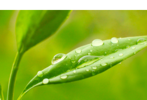 1714057729819755.png image.png