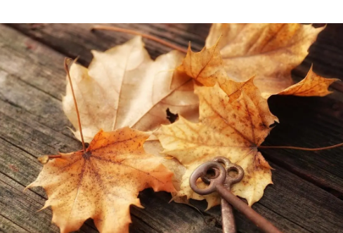 1714058230917738.png image.png