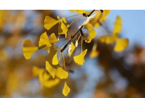 1714058898102355.png image.png