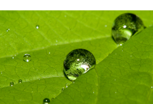 1714059732845402.png image.png