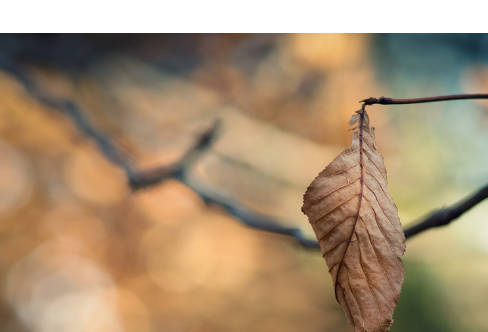1714060066883571.png image.png