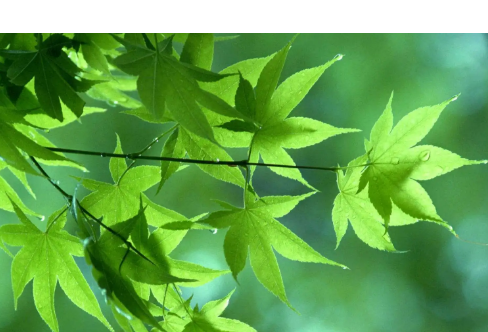 1714061066475458.png image.png
