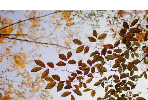 1714062234452651.png image.png