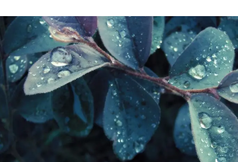 1714062568235082.png image.png
