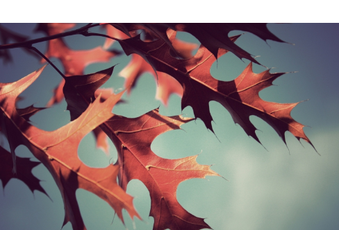 1714063402832148.png image.png