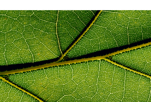 1714064904123983.png image.png