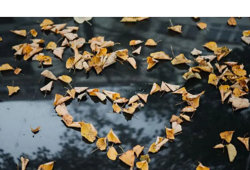 1714065071754347.png image.png