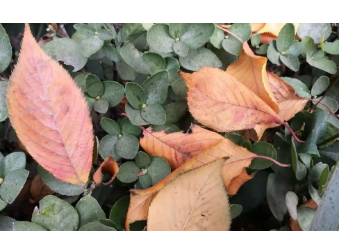 1714067574536864.png image.png
