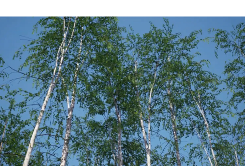 1714068409696985.png image.png