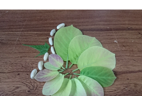 1714070745716220.png image.png