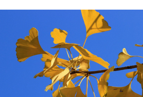 1714070912597539.png image.png