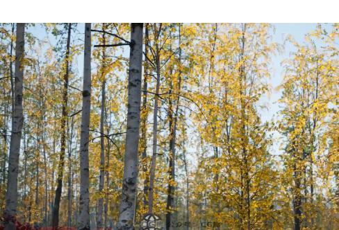 1714071079743244.png image.png