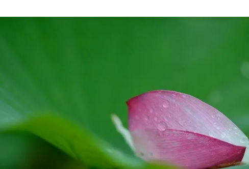 1714072079113087.png image.png