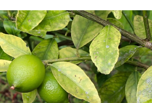 1714072246129096.png image.png