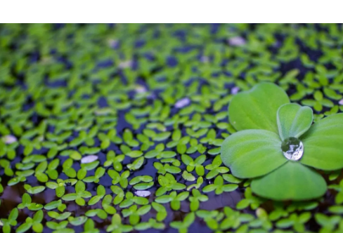 1714074248349116.png image.png