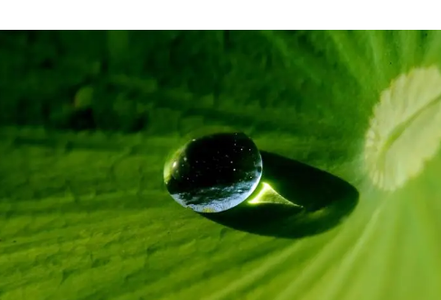 1714074581284138.png image.png