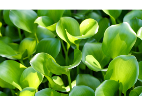 1714075249131122.png image.png
