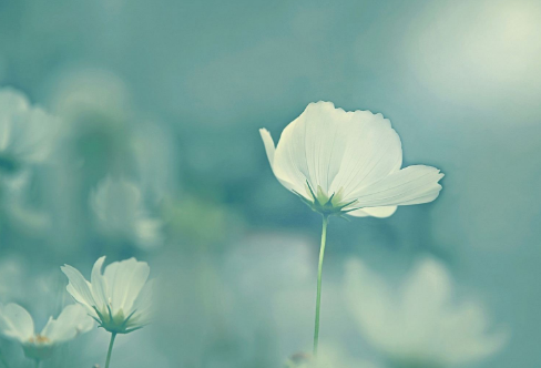 1714139137112536.png image.png