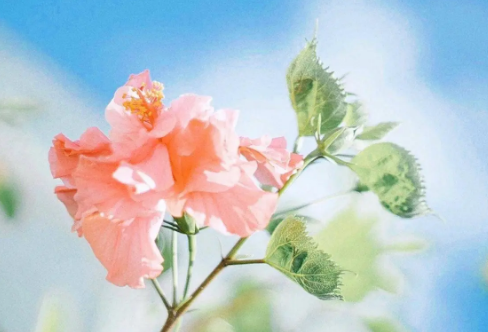 1714139470948635.png image.png
