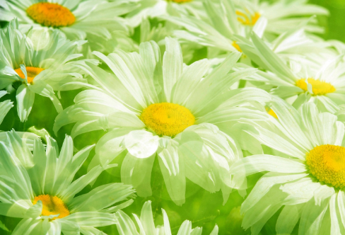 1714139637101412.png image.png