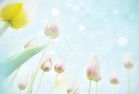 1714139803229488.png image.png