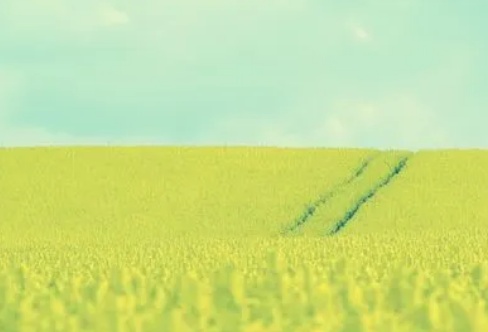 1714140136128217.png image.png