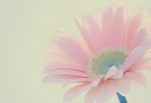 1714140635891188.png image.png